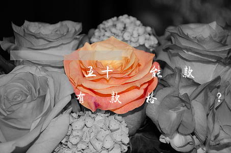 負債五十萬還能貸款嗎，負債五十萬的人是否還有貸款資格？